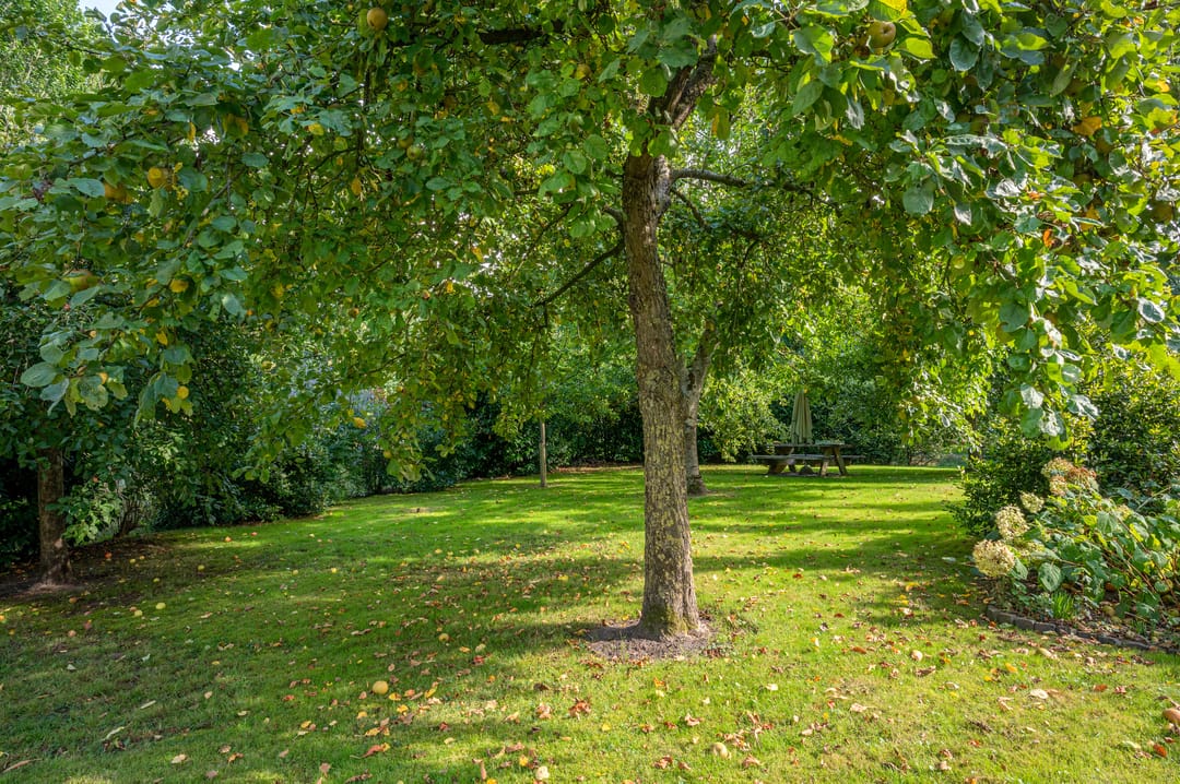 Foto 68 van Hoofdweg 22