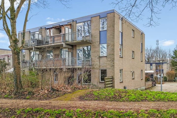 Jungfrau 16 main image