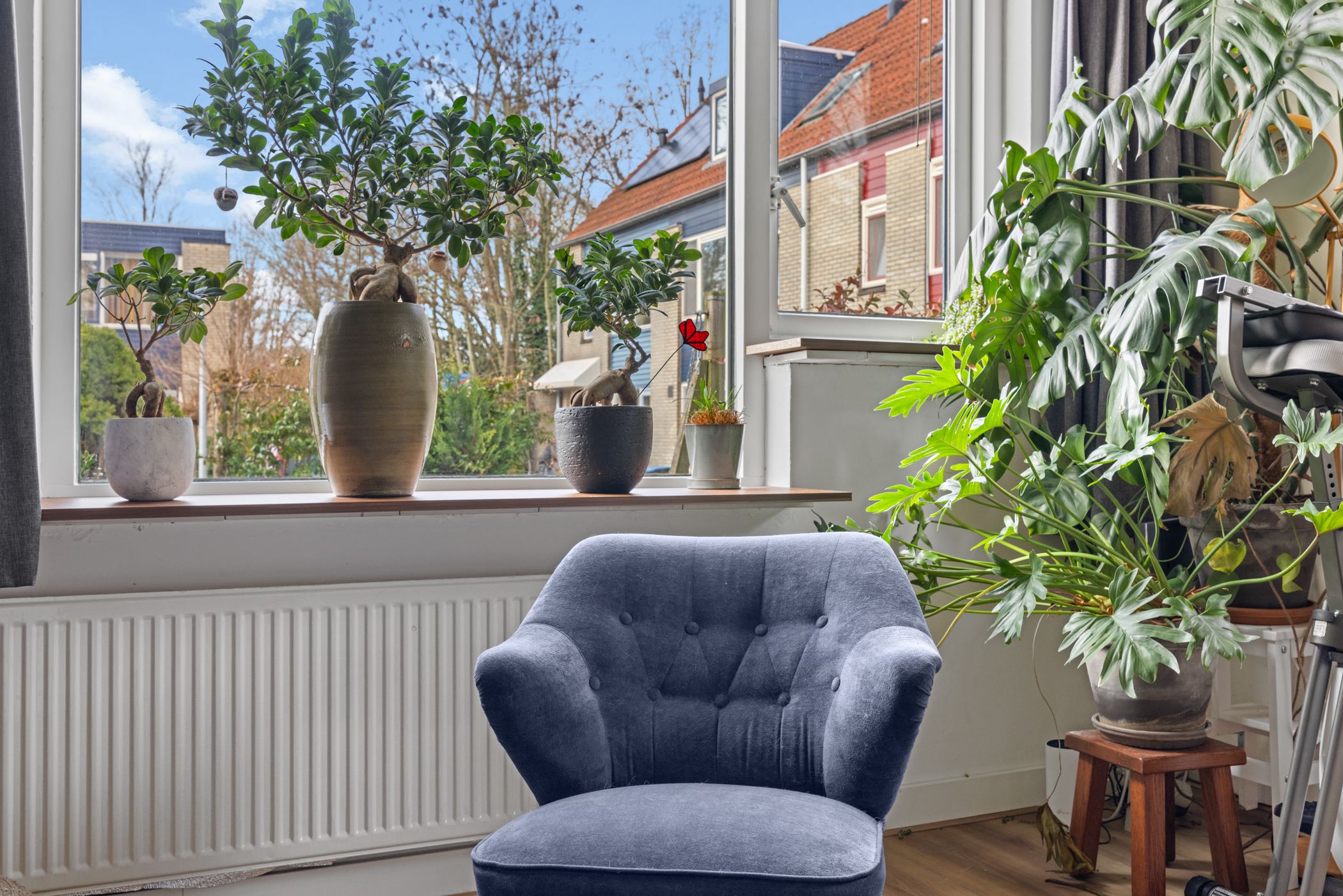 Foto 12 van Jungfrau 16