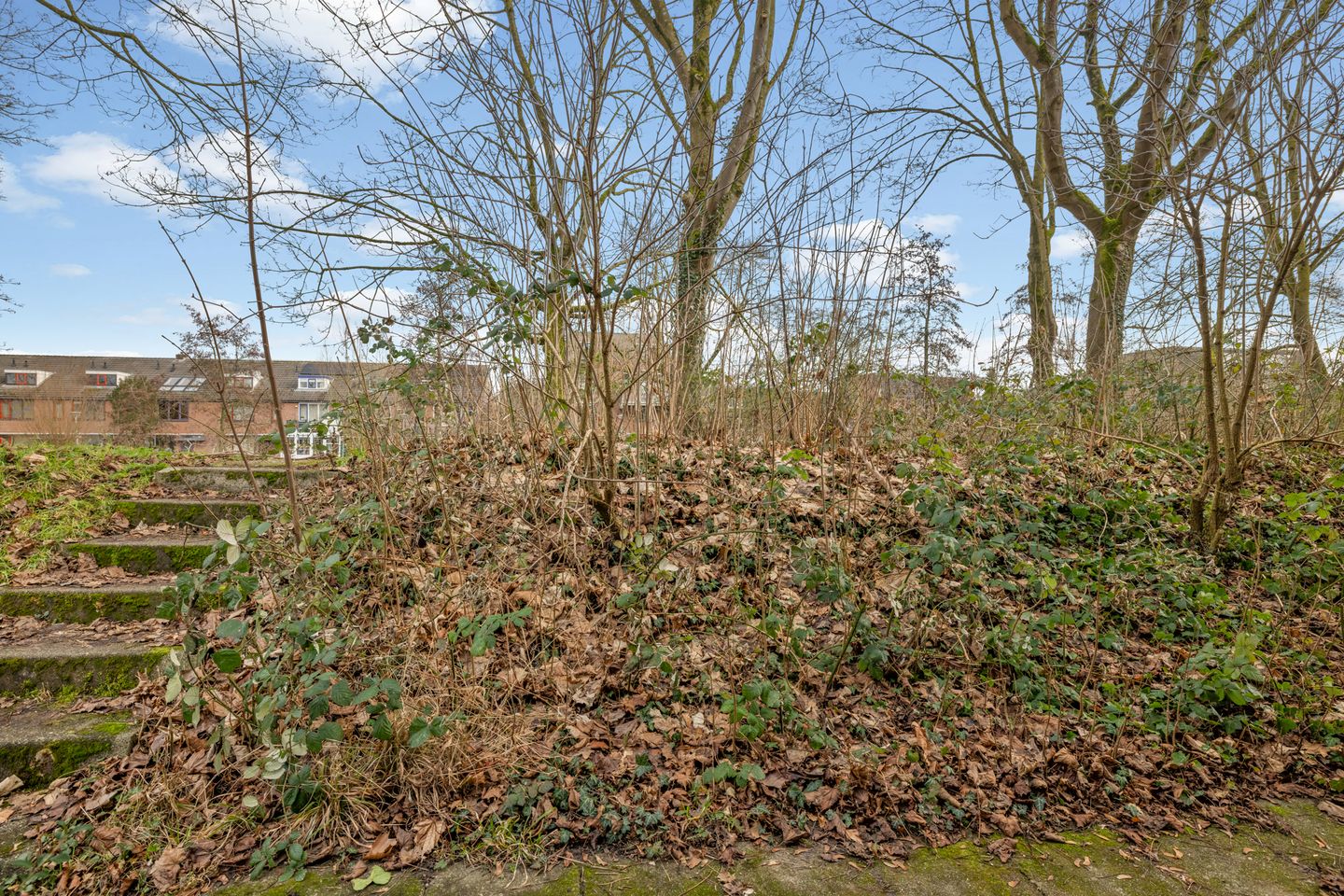 Foto 35 van Jungfrau 16