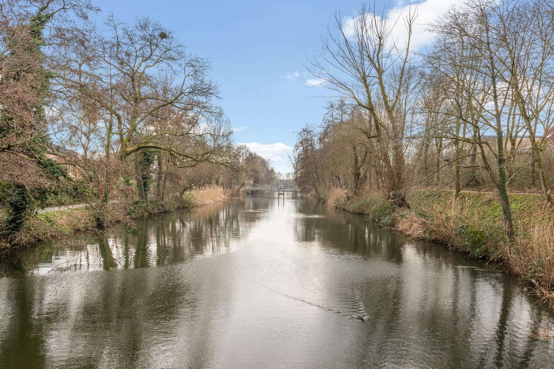 Foto 41 van Jungfrau 16