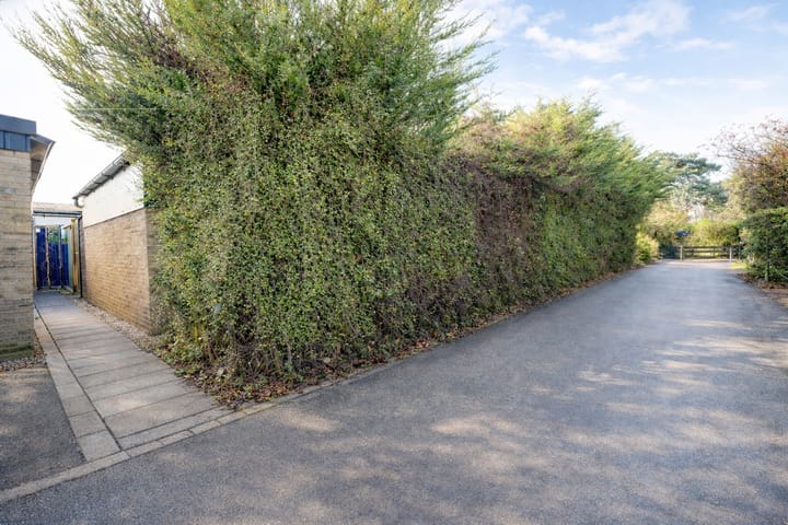 Foto 6 van Westvlietweg 10-78