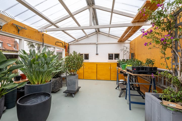 Photo 39 of Korteweegje 38