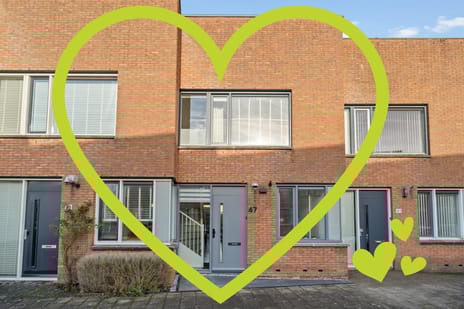 undefined main image