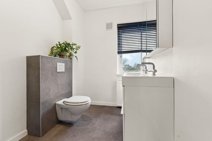 Foto 25 van Riekstraat 11