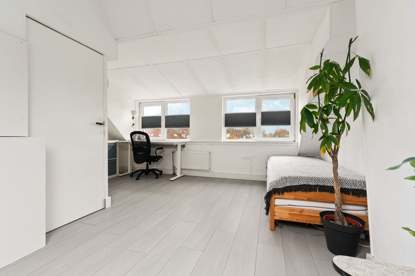 Foto 29 van Riekstraat 11