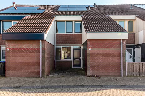 undefined main image