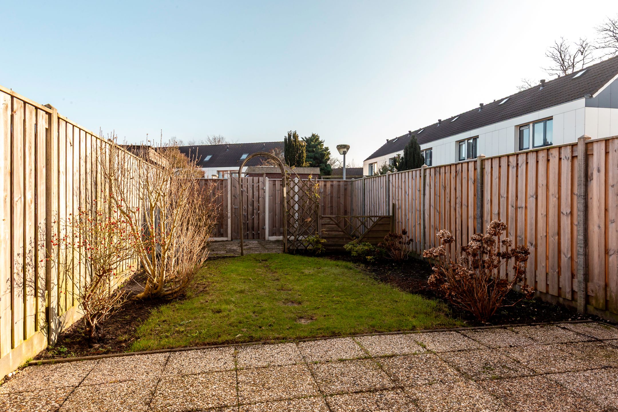 Foto 24 van Punter 33 30