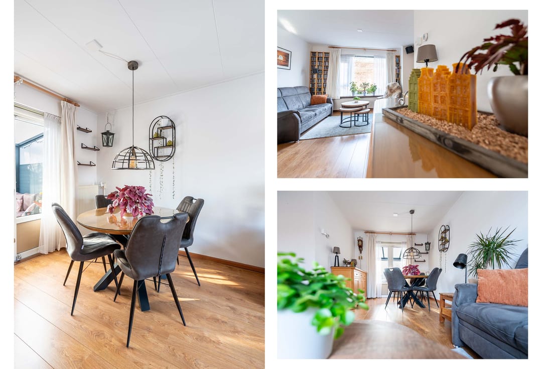 Foto 7 van Frans Halslaan 19