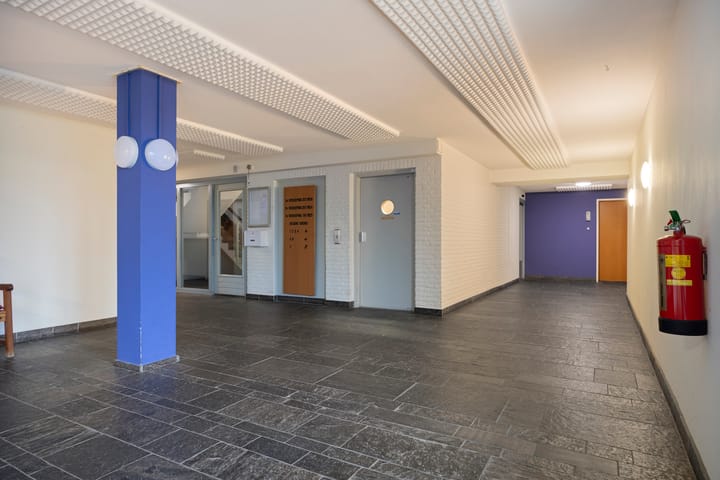 Foto 3 van Clusiuserf 37