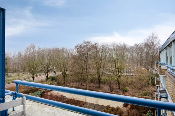 Photo 17 of Clusiuserf 37