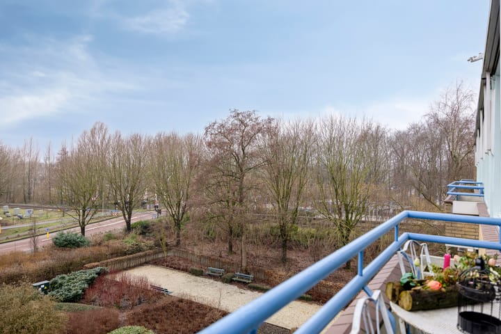 Photo 19 of Clusiuserf 37