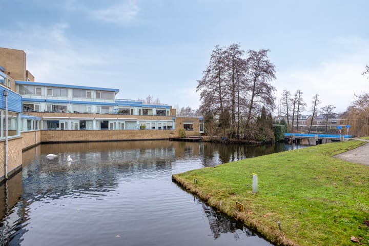 Photo 24 of Clusiuserf 37