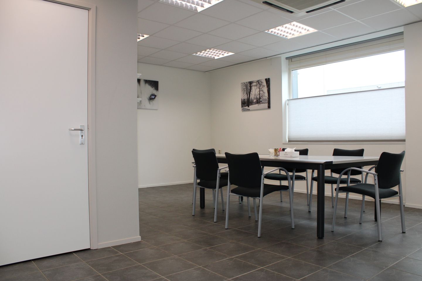 Bekijk foto 3 van Honderdland 251