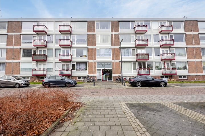 van Viandenstraat 79