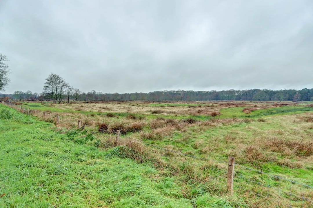 Photo 32 of Vlettevaart 69