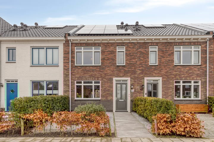 Wildbaan 45 main image