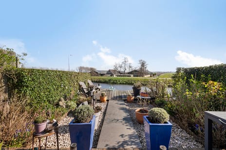 Kuiperserf thumbnail