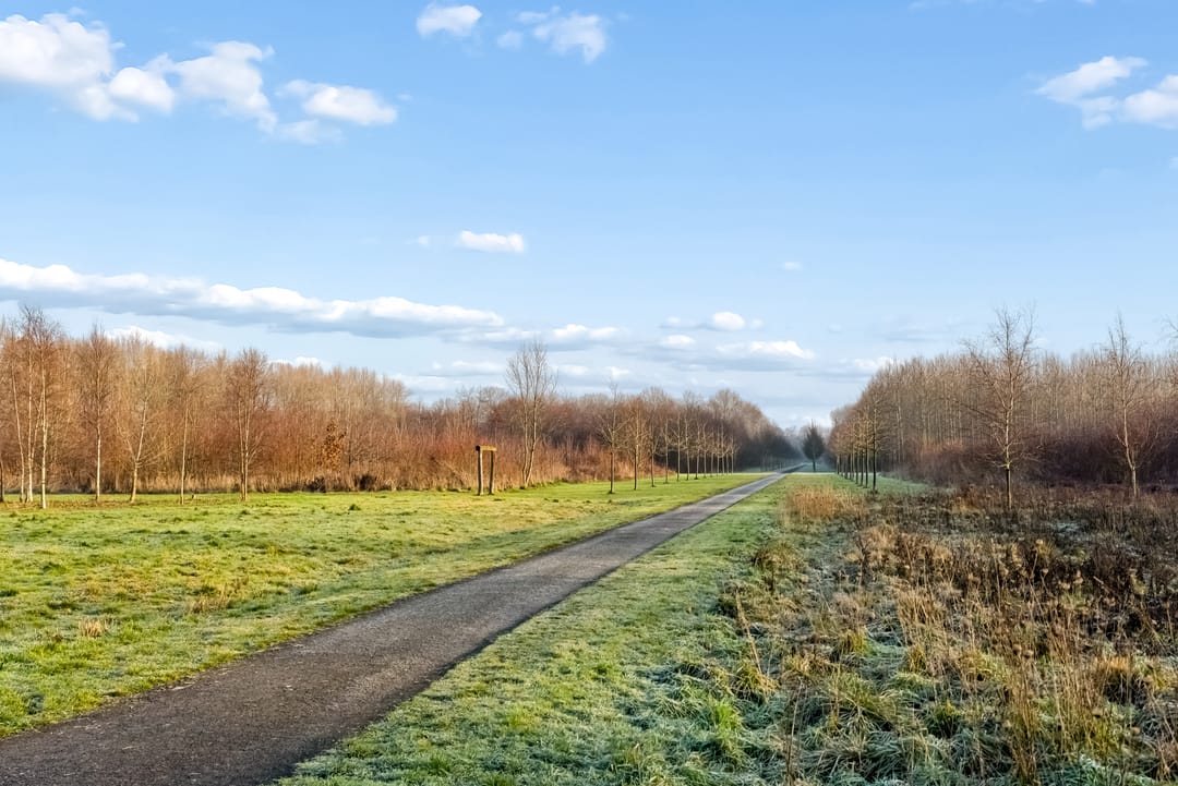 Foto 38 van Francisco Pizarrostraat 120