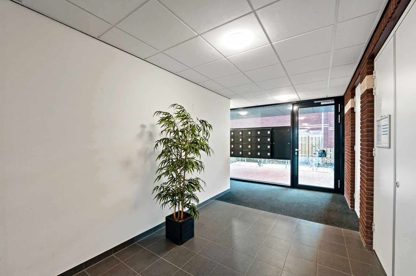 Foto 10 van Rijndijk 320