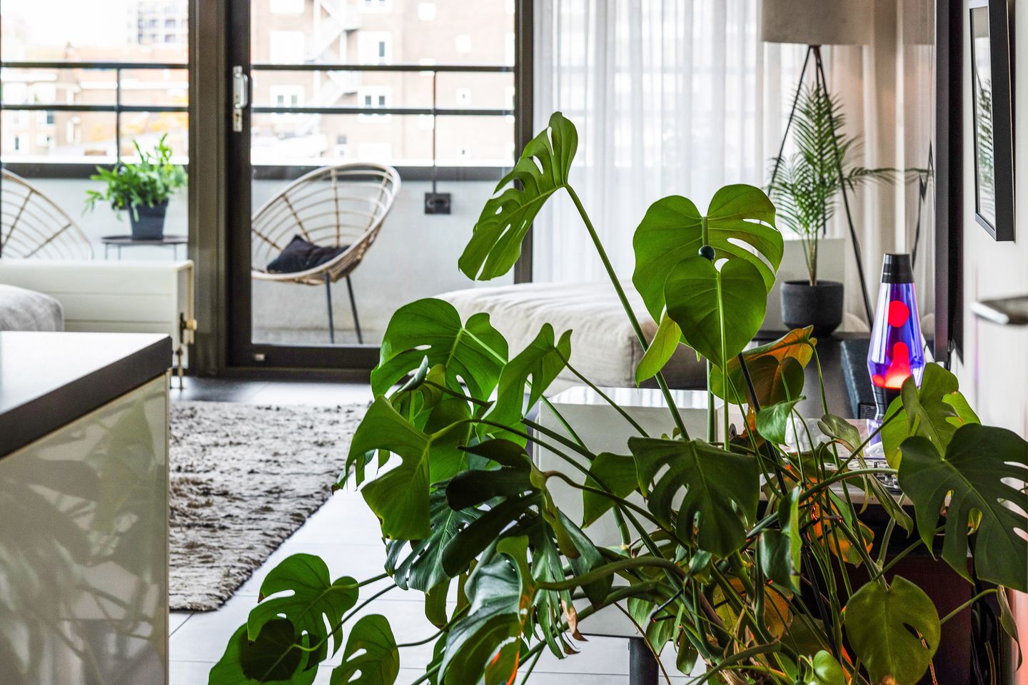 Foto 5 van Binnenrotte 157