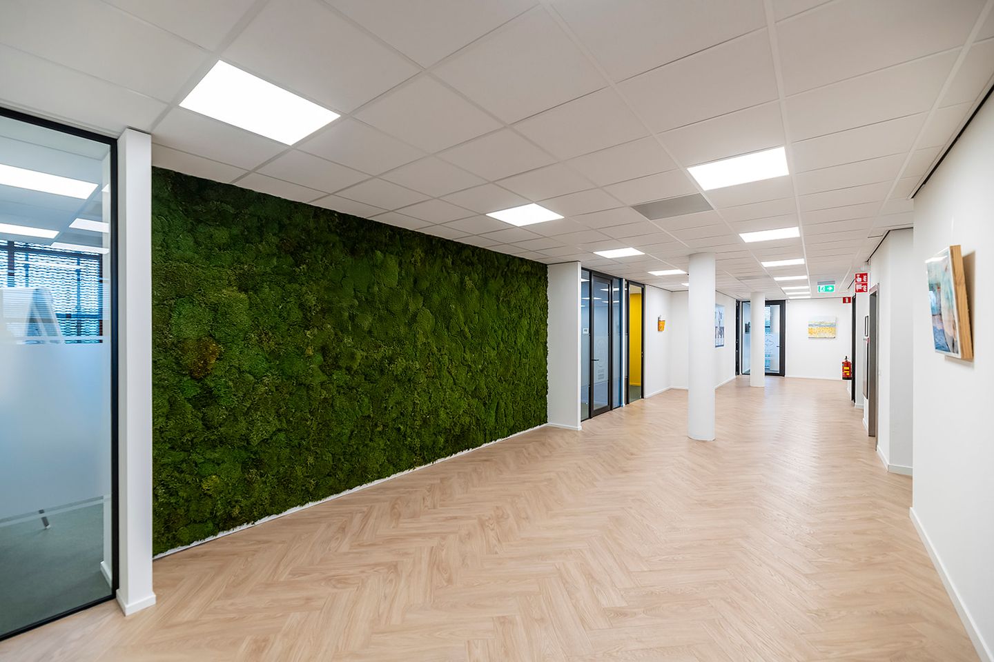 Bekijk foto 5 van Minervum 7032