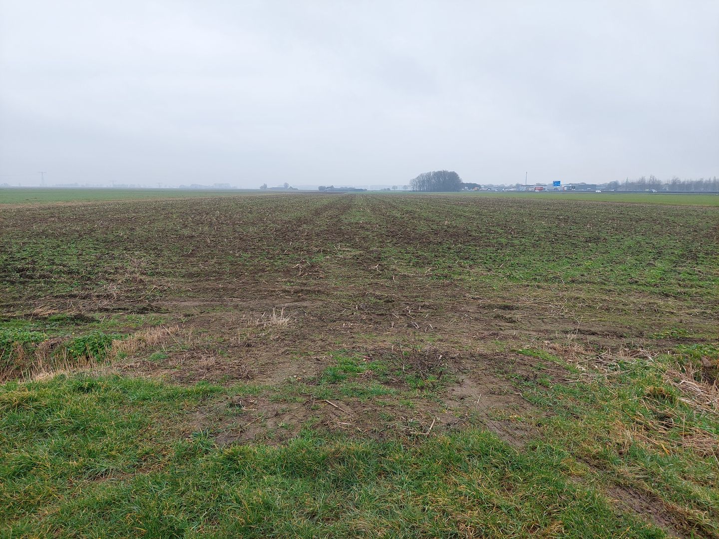 Bekijk foto 1 van Percelen cultuurgrond aan Oude Molenweg