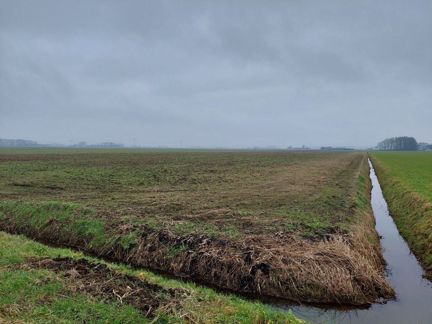 Bekijk foto 4 van Percelen cultuurgrond aan Oude Molenweg
