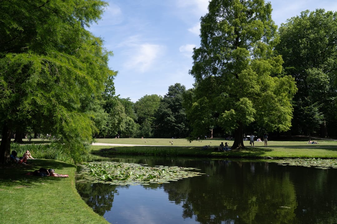 Photo 46 of Willemskade 21-D