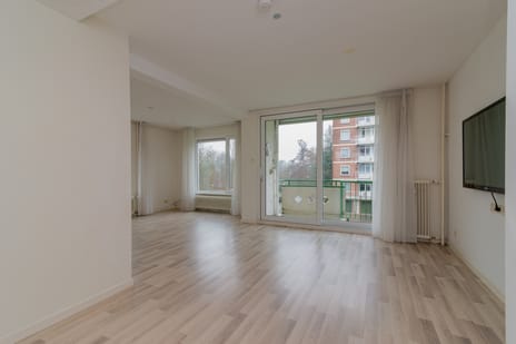 Ranonkelstraat 317 tertiary image