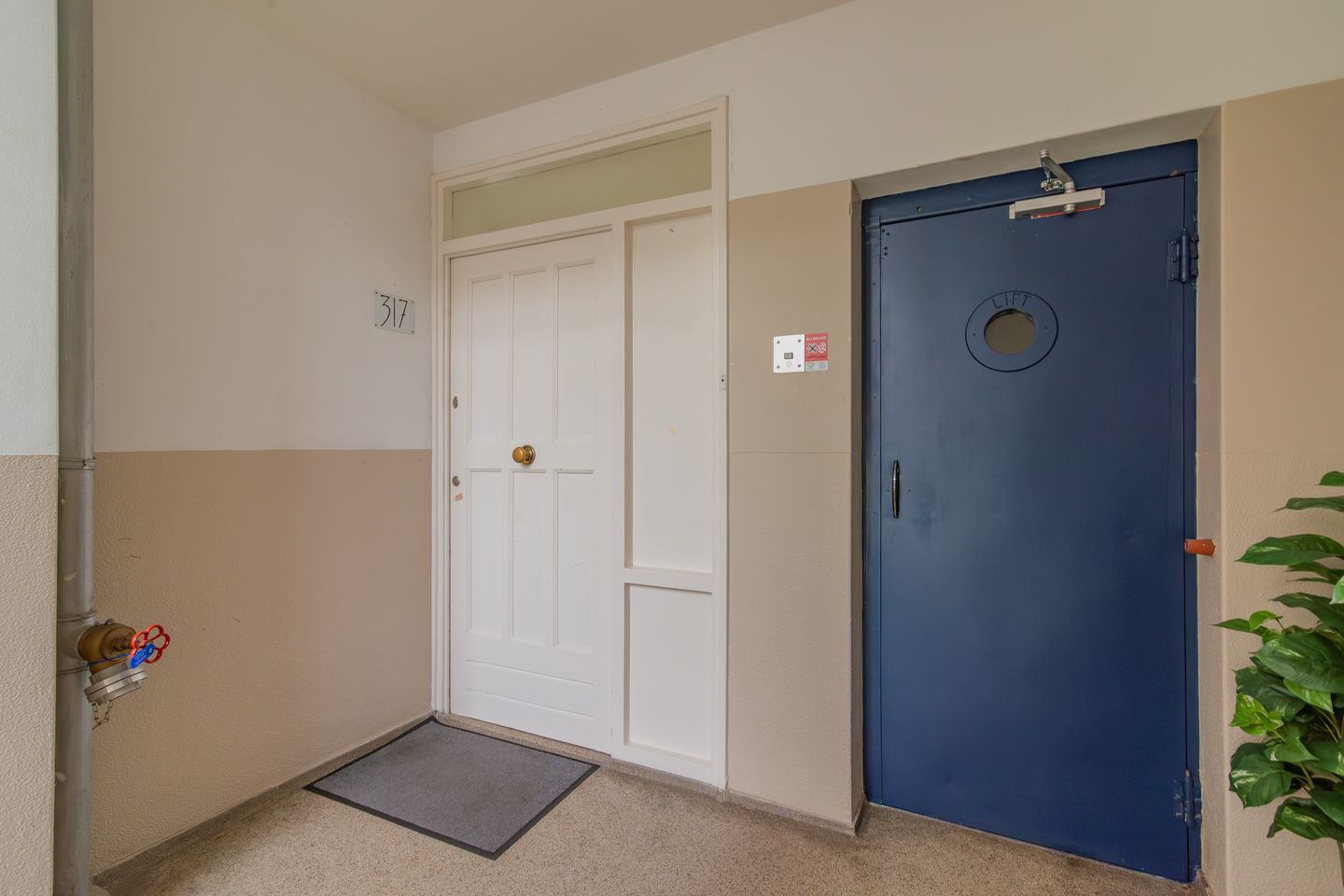 Foto 5 van Ranonkelstraat 317