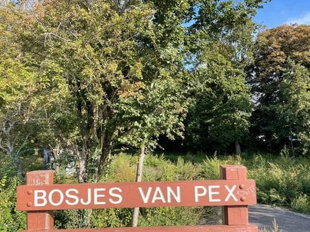 Foto 25 van Ranonkelstraat 317