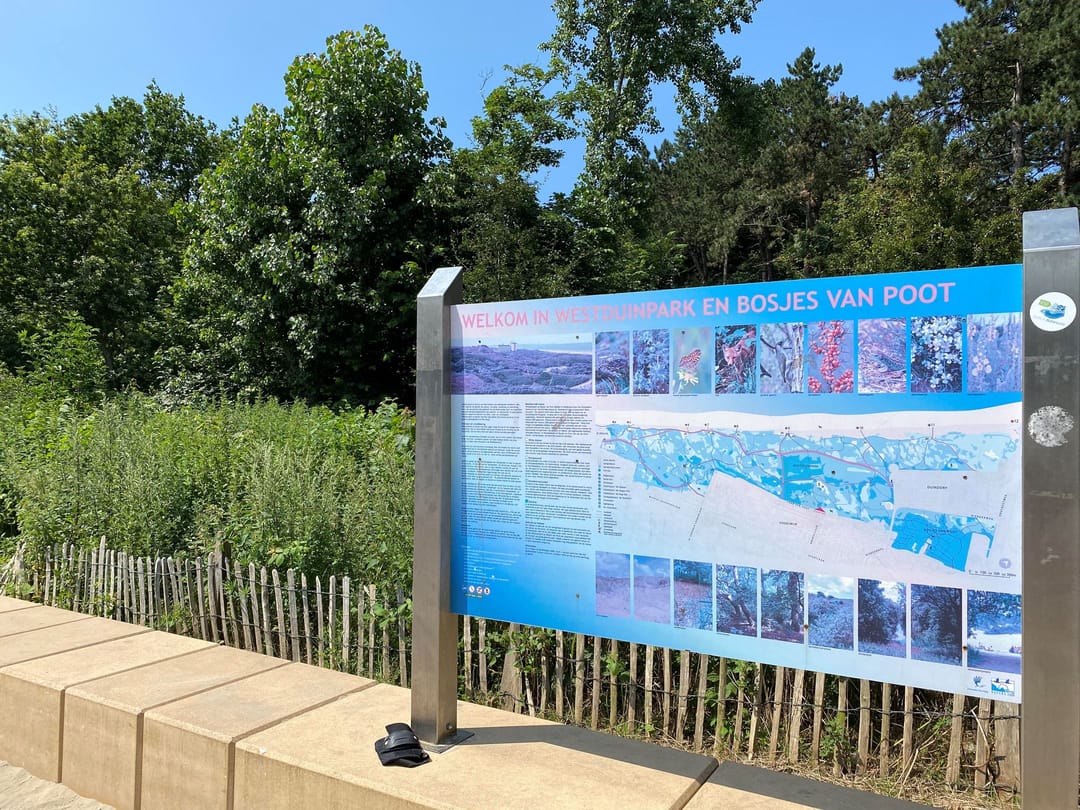 Foto 26 van Ranonkelstraat 317