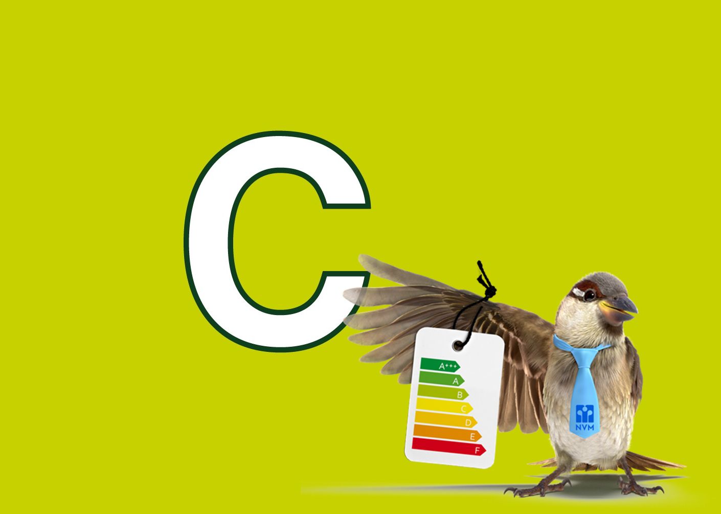 Foto 30 van Ranonkelstraat 317