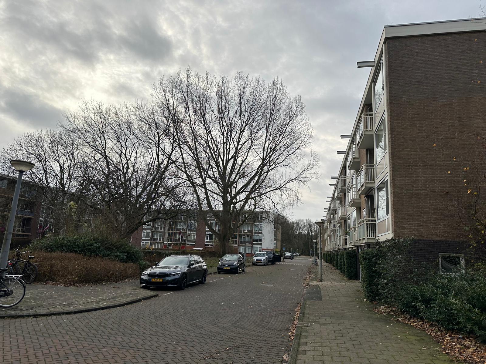 Foto 12 van Onstein 11