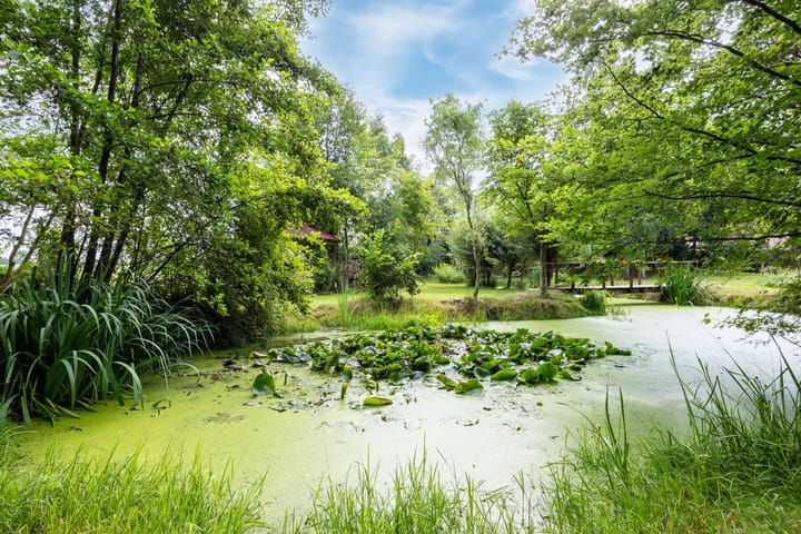 Photo 4 of Scheidingsweg 40