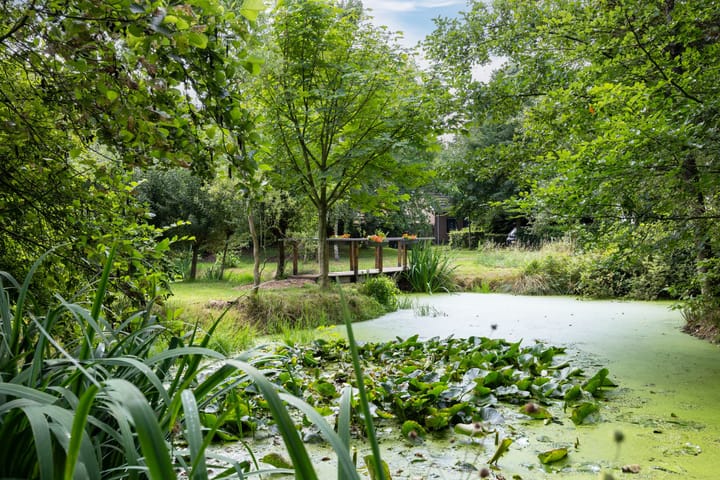 Photo 3 of Scheidingsweg 40