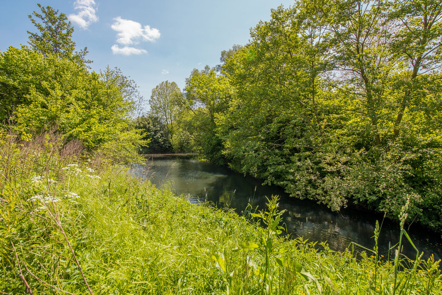 Foto 29 van Wageningseberg 398