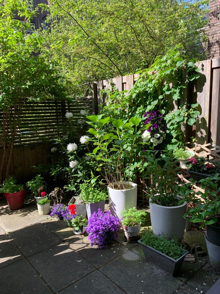 Foto 27 van Van Houweningenstraat 80-H