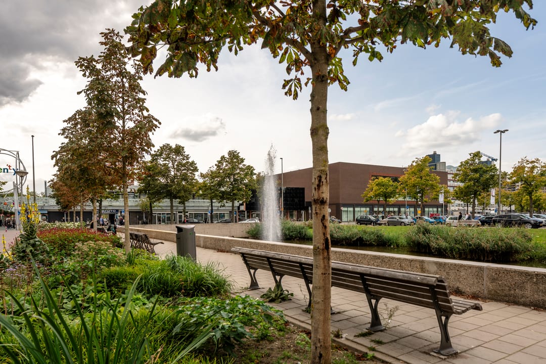 Foto 31 van B. Merkelbachsingel 259