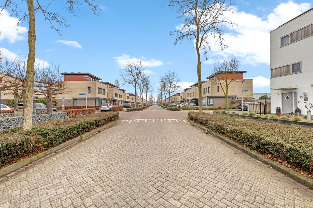 Foto 58 van Madeliefberg 33