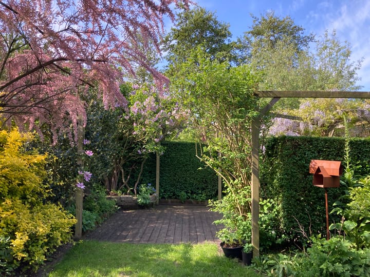 Foto 4 van Zuiderkruis 45