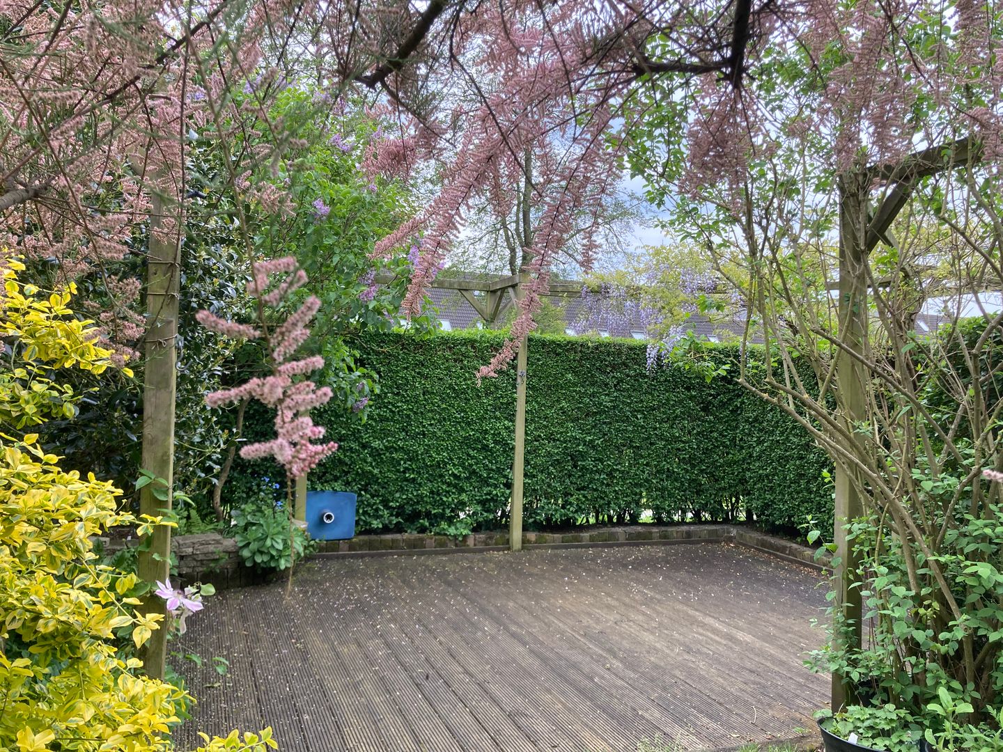 Foto 35 van Zuiderkruis 45