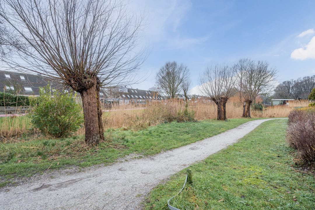 Foto 43 van Zuiderkruis 45