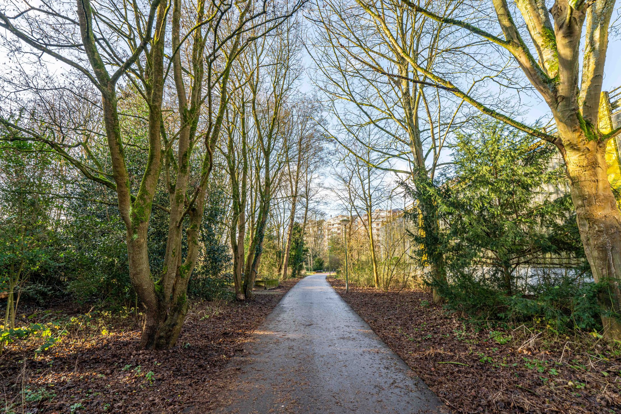 Foto 21 van Scherpenzeelstraat 109