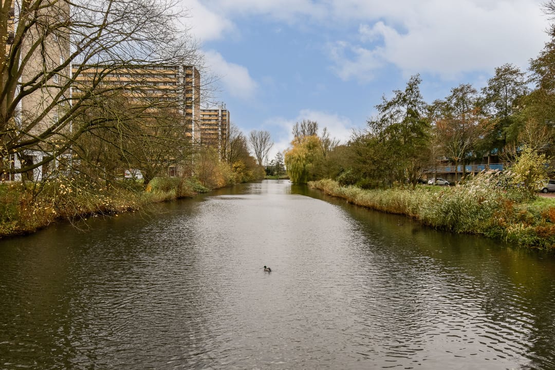 Photo 23 of Langswater 199