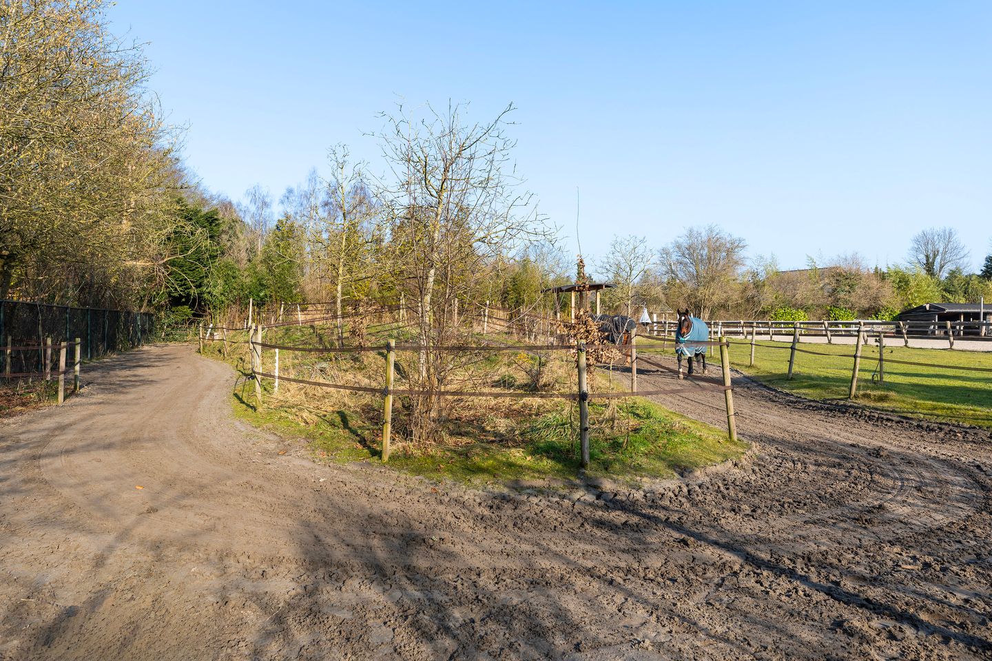 Photo 40 of Groene Velden 174