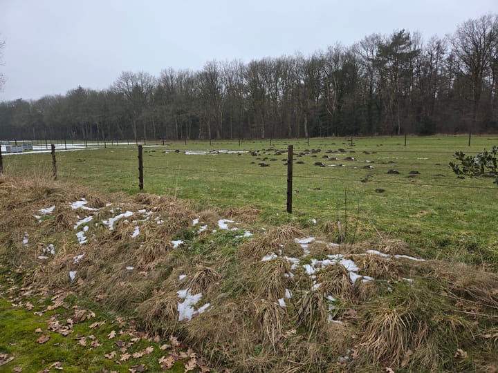 Foto 6 van Middendorpsstraat 16-53