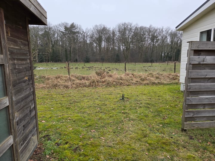 Foto 18 van Middendorpsstraat 16-53