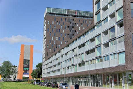 undefined main image